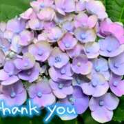 ヒメ日記 2025/06/05 22:13 投稿 原田麗子 五十路マダム 沼津店(カサブランカグループ)