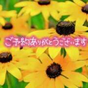 ヒメ日記 2025/07/24 19:13 投稿 原田麗子 五十路マダム 沼津店(カサブランカグループ)