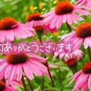 ヒメ日記 2025/07/24 22:13 投稿 原田麗子 五十路マダム 沼津店(カサブランカグループ)