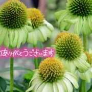 ヒメ日記 2025/07/25 13:25 投稿 原田麗子 五十路マダム 沼津店(カサブランカグループ)