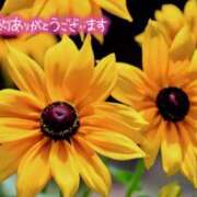 ヒメ日記 2025/07/26 15:39 投稿 原田麗子 五十路マダム 沼津店(カサブランカグループ)