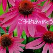 ヒメ日記 2025/07/26 21:51 投稿 原田麗子 五十路マダム 沼津店(カサブランカグループ)