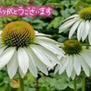 ヒメ日記 2025/07/27 03:43 投稿 原田麗子 五十路マダム 沼津店(カサブランカグループ)