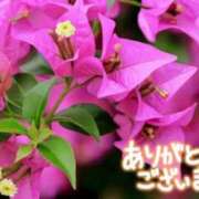 ヒメ日記 2025/07/27 19:59 投稿 原田麗子 五十路マダム 沼津店(カサブランカグループ)