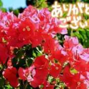 ヒメ日記 2025/07/27 20:19 投稿 原田麗子 五十路マダム 沼津店(カサブランカグループ)