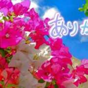 ヒメ日記 2025/07/27 20:33 投稿 原田麗子 五十路マダム 沼津店(カサブランカグループ)