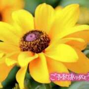 ヒメ日記 2025/07/28 12:27 投稿 原田麗子 五十路マダム 沼津店(カサブランカグループ)