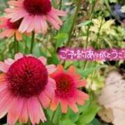 ヒメ日記 2025/07/28 18:01 投稿 原田麗子 五十路マダム 沼津店(カサブランカグループ)