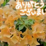 ヒメ日記 2025/07/30 18:17 投稿 原田麗子 五十路マダム 沼津店(カサブランカグループ)