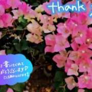 ヒメ日記 2025/07/30 18:47 投稿 原田麗子 五十路マダム 沼津店(カサブランカグループ)