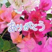 ヒメ日記 2025/07/31 16:19 投稿 原田麗子 五十路マダム 沼津店(カサブランカグループ)