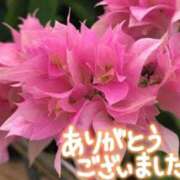 ヒメ日記 2025/07/31 16:59 投稿 原田麗子 五十路マダム 沼津店(カサブランカグループ)