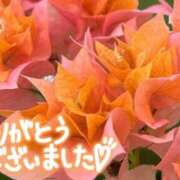 ヒメ日記 2025/07/31 17:47 投稿 原田麗子 五十路マダム 沼津店(カサブランカグループ)