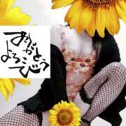 ヒメ日記 2025/09/26 17:37 投稿 原田麗子 五十路マダム 沼津店(カサブランカグループ)