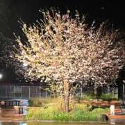 原田麗子 原田麗子です♪ 五十路マダム 沼津店(カサブランカグループ)