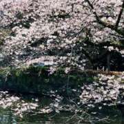 原田麗子 感謝♪ 五十路マダム 沼津店(カサブランカグループ)