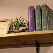 ヒメ日記 2025/05/01 04:37 投稿 かなた 熟女の風俗最終章 本厚木店