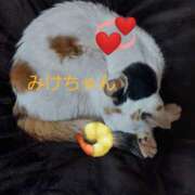 ヒメ日記 2025/05/27 01:16 投稿 かなた 熟女の風俗最終章 本厚木店