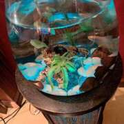 ヒメ日記 2025/06/07 21:09 投稿 かなた 熟女の風俗最終章 本厚木店