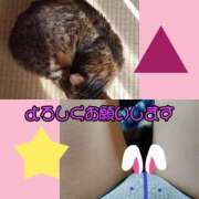 ヒメ日記 2025/11/02 20:10 投稿 かなた 熟女の風俗最終章 本厚木店