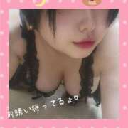 ヒメ日記 2025/03/10 15:38 投稿 はんな 山口周南ちゃんこ