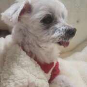 ヒメ日記 2025/08/07 10:45 投稿 はんな 山口周南ちゃんこ