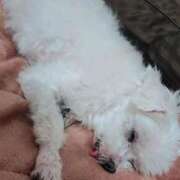 ヒメ日記 2025/09/22 14:52 投稿 はんな 山口周南ちゃんこ