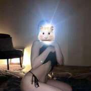 きらら きららです4 bunny paradise