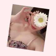 ヒメ日記 2025/05/14 12:02 投稿 ともか 名古屋性感回春エステ エルミタージュ