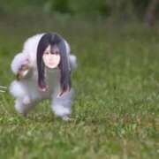 ヒメ日記 2025/03/13 17:04 投稿 かぐら E+アイドルスクール新宿・歌舞伎町店