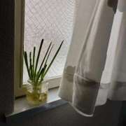 ヒメ日記 2025/03/23 12:05 投稿 かぐら E+アイドルスクール新宿・歌舞伎町店