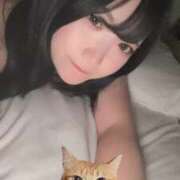 ヒメ日記 2025/04/16 07:04 投稿 かぐら E+アイドルスクール新宿・歌舞伎町店