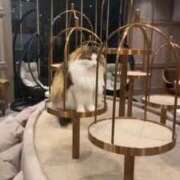 ヒメ日記 2025/04/26 23:14 投稿 かぐら E+アイドルスクール新宿・歌舞伎町店