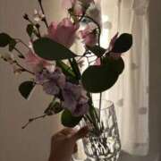 ヒメ日記 2026/02/02 06:35 投稿 かぐら E+アイドルスクール新宿・歌舞伎町店