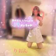 ヒメ日記 2025/03/26 13:56 投稿 りおん ZERO-i