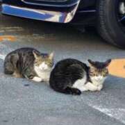 ヒメ日記 2025/06/01 19:35 投稿 ゆか【笑顔で癒し、ボディで魅了】 LIPS(リップス)