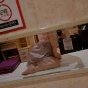 ヒメ日記 2025/06/08 00:41 投稿 れん TSUBAKI(ツバキ)