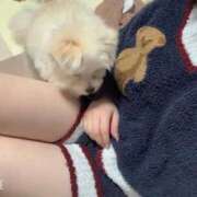 ヒメ日記 2025/03/30 00:39 投稿 メロンHIBIKIー響ー GOOD-グッド-