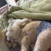 ヒメ日記 2025/05/06 16:36 投稿 メロンHIBIKIー響ー GOOD-グッド-