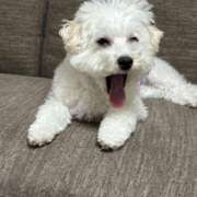 ヒメ日記 2025/05/29 23:21 投稿 メロンHIBIKIー響ー GOOD-グッド-