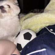 ヒメ日記 2025/06/25 02:08 投稿 メロンHIBIKIー響ー GOOD-グッド-