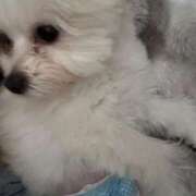 ヒメ日記 2025/09/02 14:31 投稿 メロンHIBIKIー響ー GOOD-グッド-