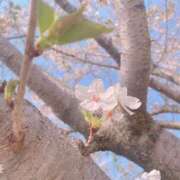 ヒメ日記 2025/04/16 15:45 投稿 ちか 奴隷コレクション梅田店