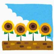 ヒメ日記 2025/08/08 12:57 投稿 ちか 奴隷コレクション梅田店