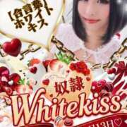 ヒメ日記 2026/03/11 18:45 投稿 ちか 奴隷コレクション梅田店