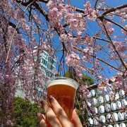 ヒメ日記 2025/03/22 19:02 投稿 森 人妻風俗チャンネル