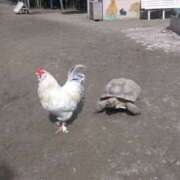 ヒメ日記 2025/04/16 18:33 投稿 森 人妻風俗チャンネル