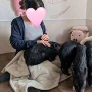 ヒメ日記 2025/04/29 01:54 投稿 森 人妻風俗チャンネル