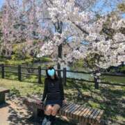 ヒメ日記 2025/05/03 06:35 投稿 森 人妻風俗チャンネル