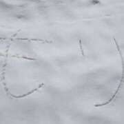 ヒメ日記 2025/05/04 06:30 投稿 森 人妻風俗チャンネル